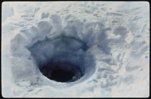 Image: Seal's Breathing Hole